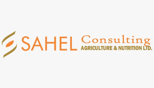 Sahel Consulting