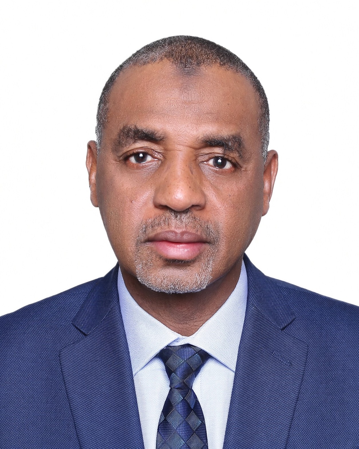 Mr. Tajudeen Datti Ahmed, Executive Director / Chief Portfolio Officer, Ministry of Finance Incorporated (MOFI)